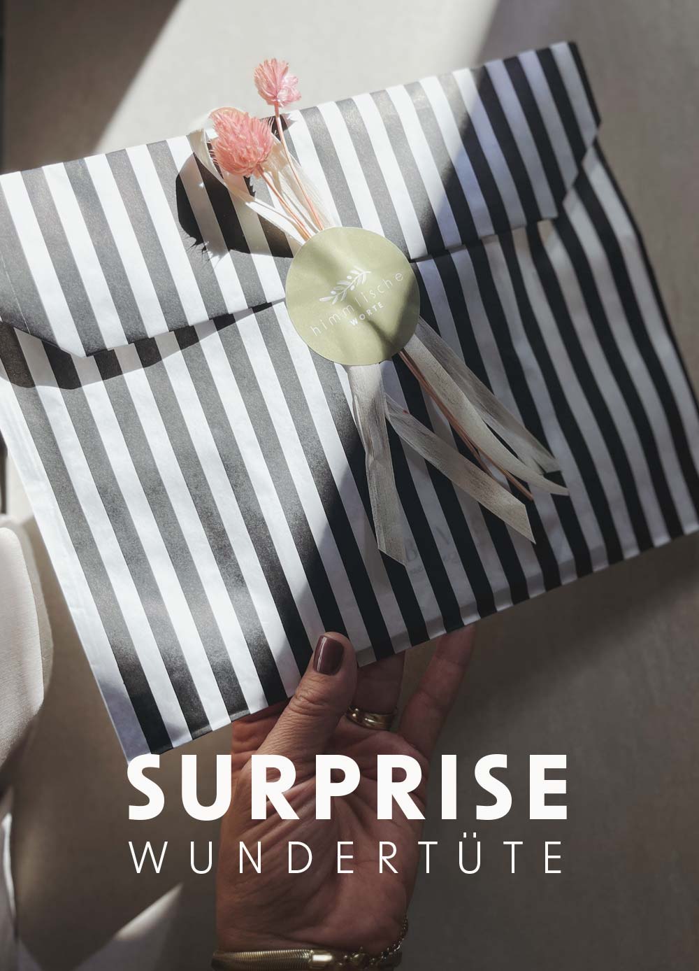SURPRISE "Wundertüte"